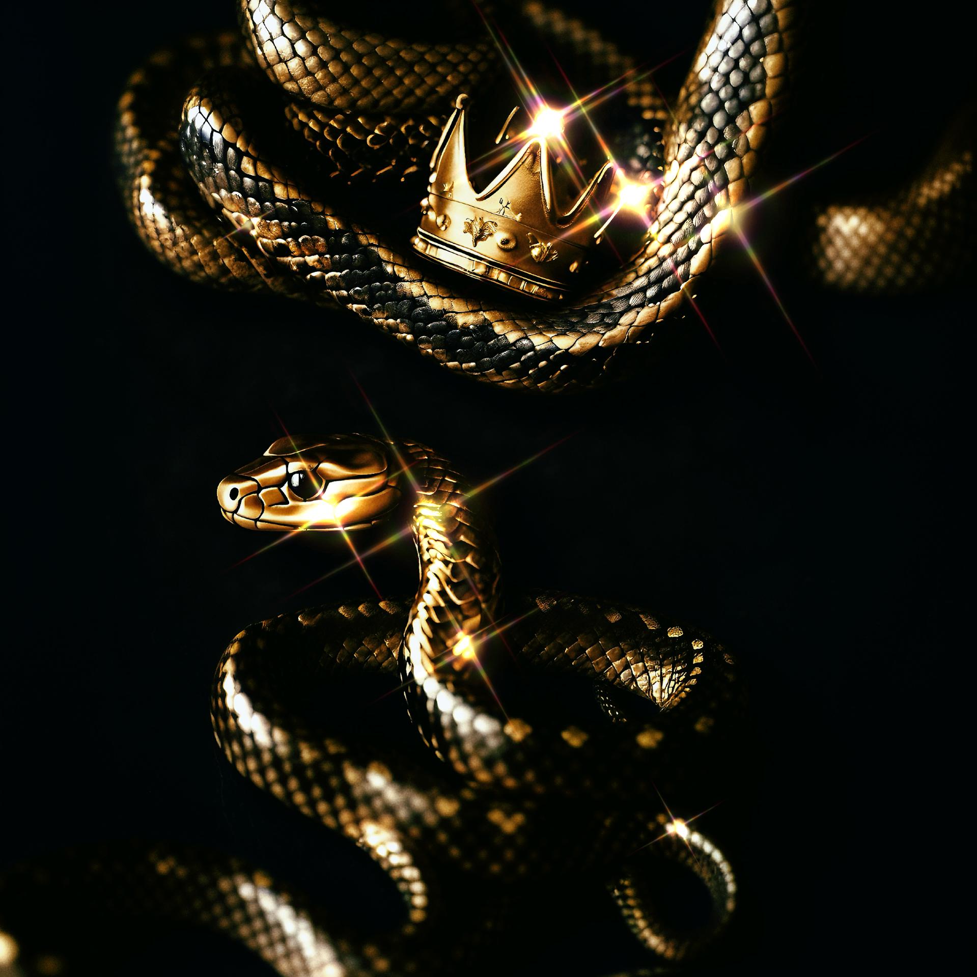 KNGSNK - Songs, Events and Music Stats | Viberate.com