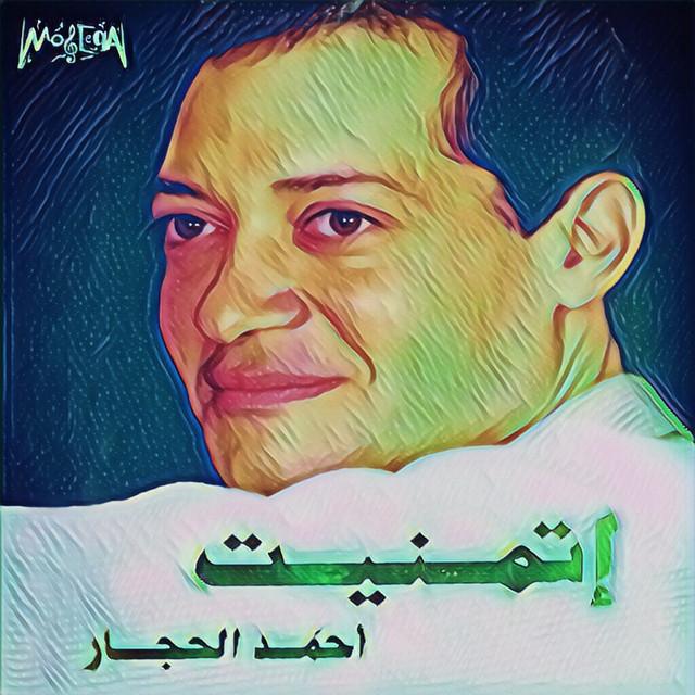 Ahmed Elhaggar