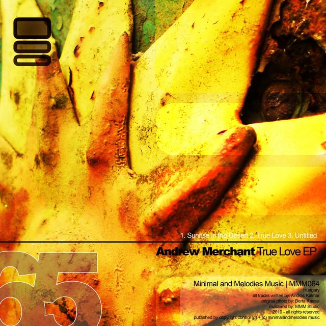 Andrew Merchant - Songs, Events and Music Stats | Viberate.com