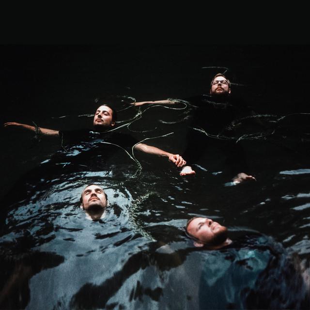 Bees Made Honey in the Vein Tree