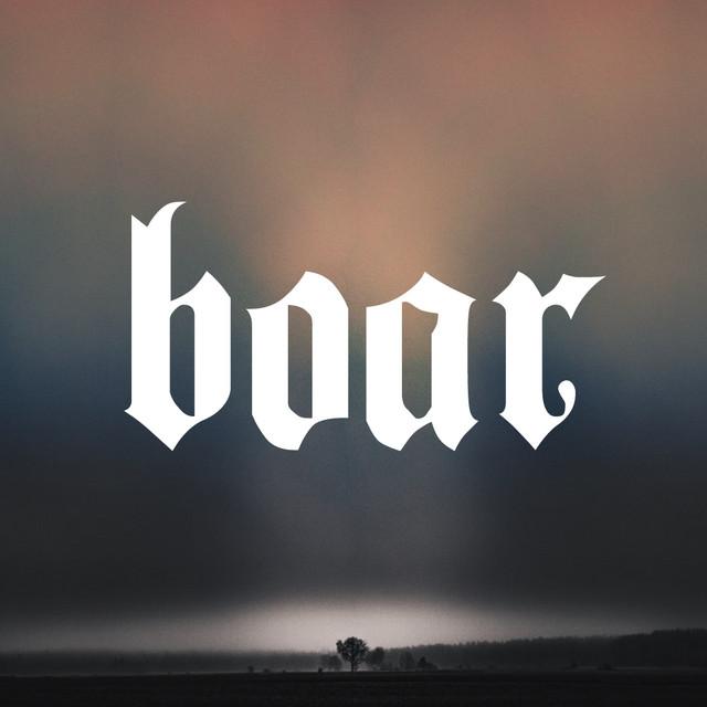 Boar