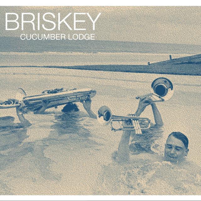Briskey Briskey - Songs, Events and Music Stats | Viberate.com