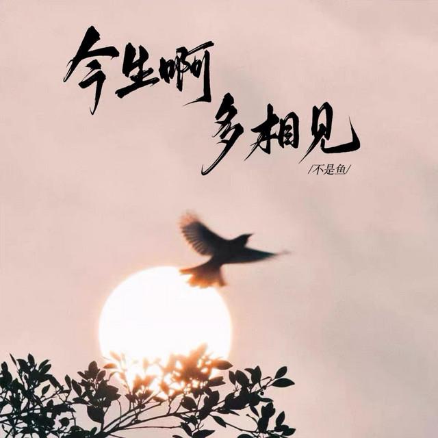 不是鱼