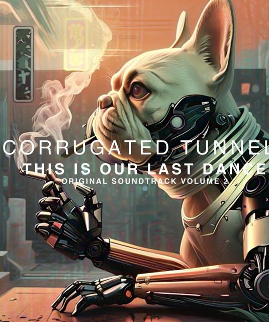 Corrugated Tunnel a.k.a Edwin James