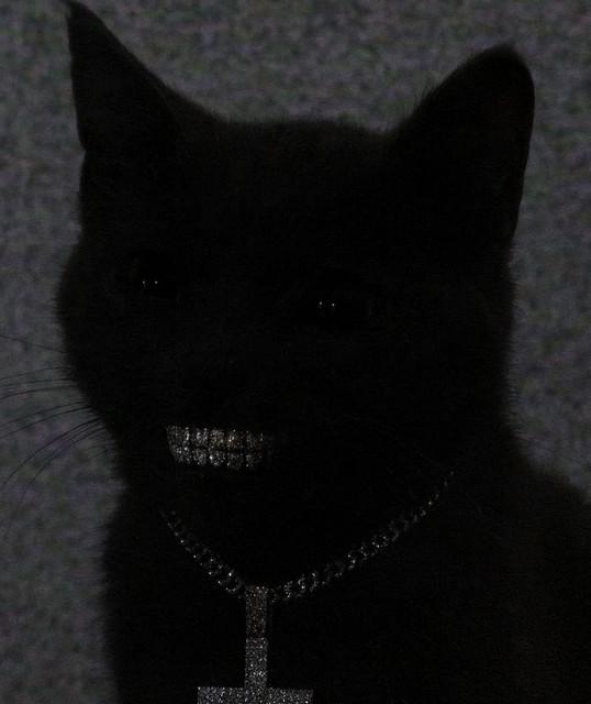 Csöves Tom