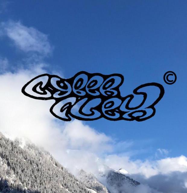 Cyberflex