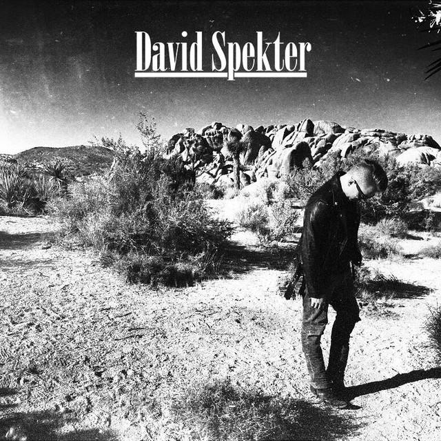 David Spekter - Songs, Events and Music Stats | Viberate.com