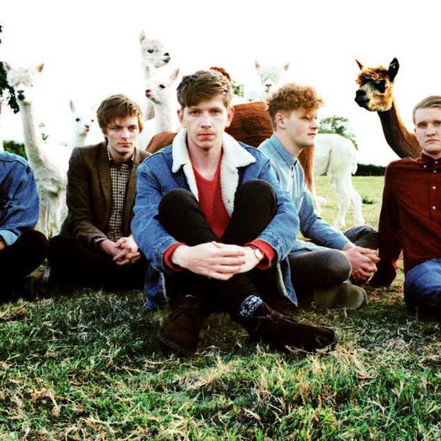 D.I.D - Songs, Events and Music Stats | Viberate.com