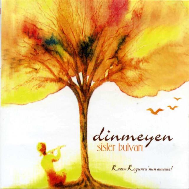 Dinmeyen