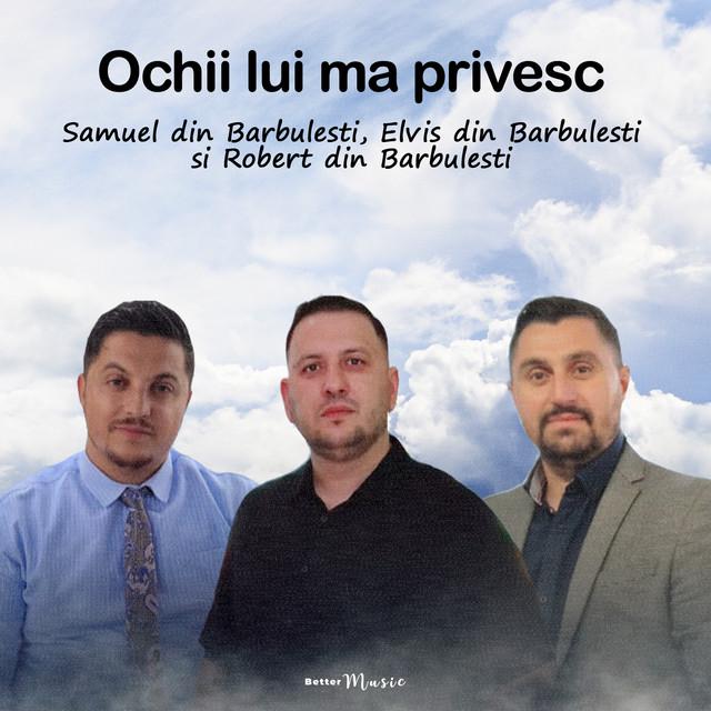 Elvis din Barbulesti