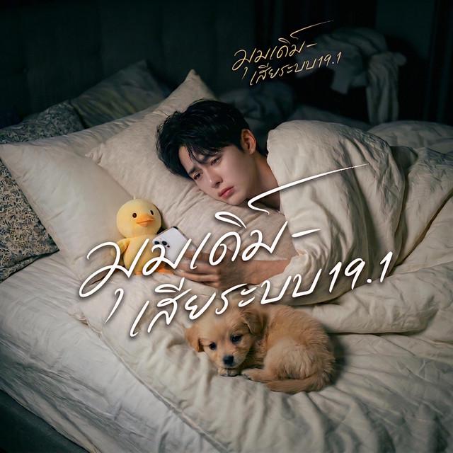 เสียระบบ19.1
