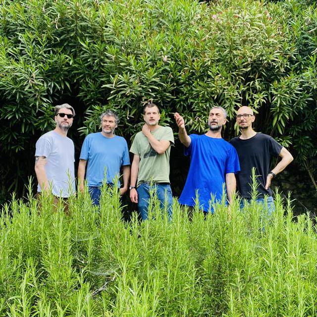 Fine Before You Came