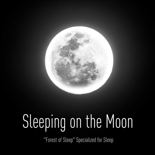 "Forest of Sleep" Specialized for Sleep