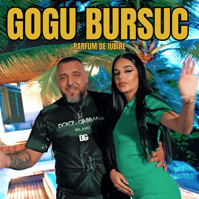 Gogu Bursuc