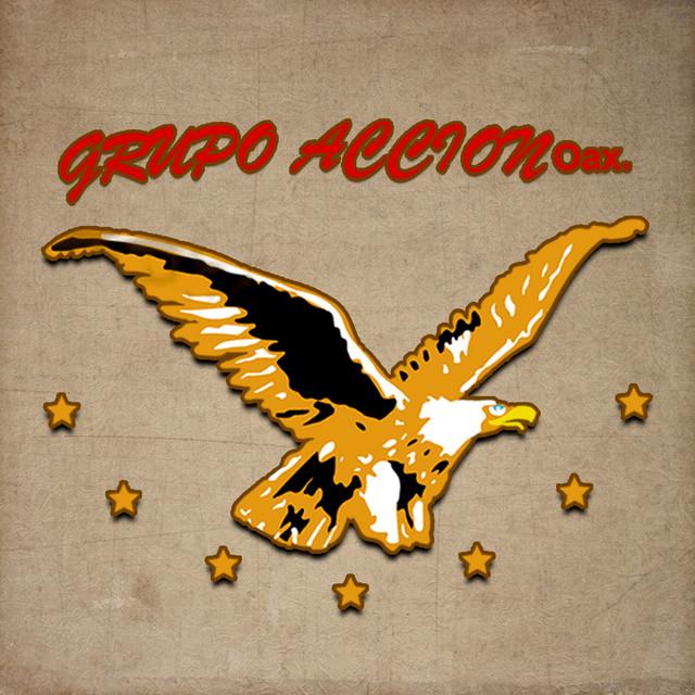Grupo Accion Oaxaca