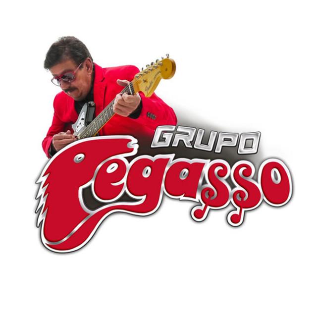 Grupo Pegasso