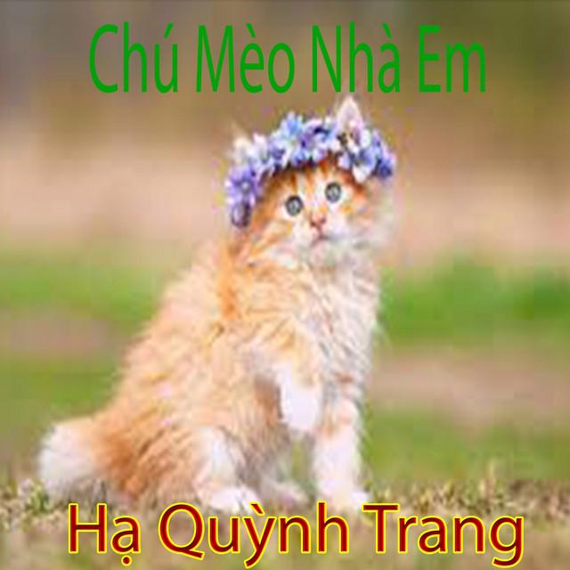 Hạ Quỳnh Trang