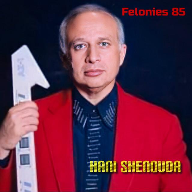 Hany Shenouda