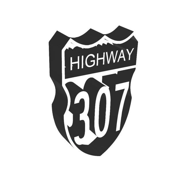 Highway 307 - Songs, Events and Music Stats | Viberate.com