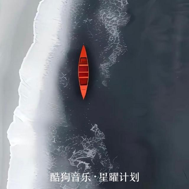 家卫老师