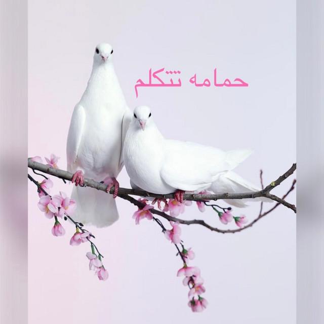 اجمل الأغاني السودانيه
