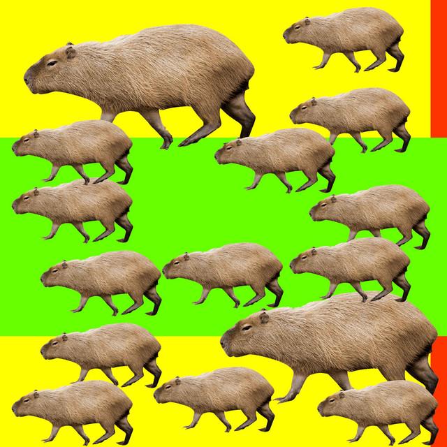 КАПИБАРА