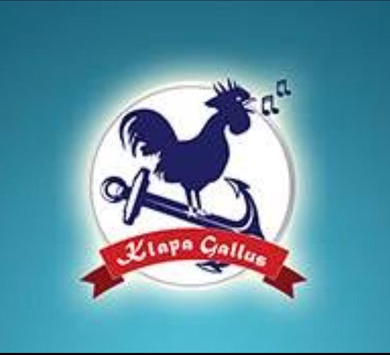Klapa Gallus