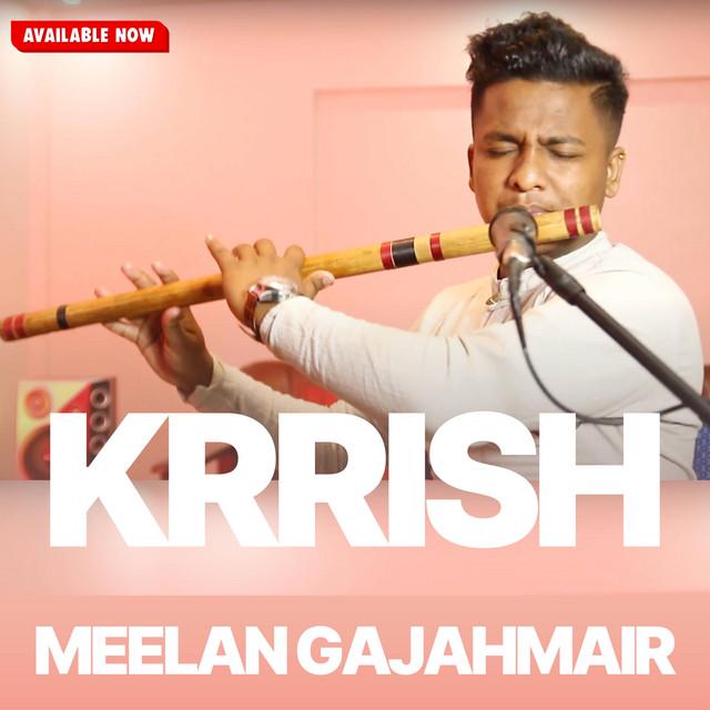 Meelan Gajahmair