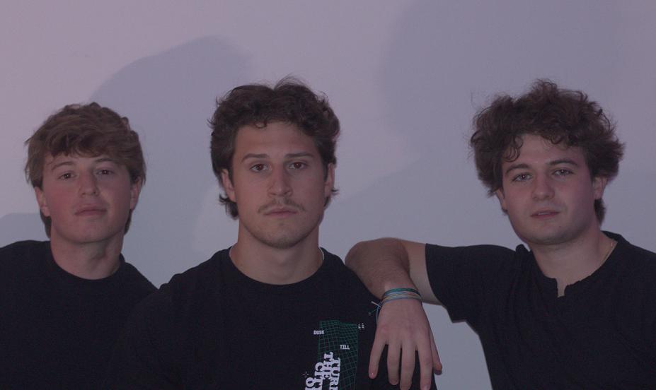 MELLIZOS