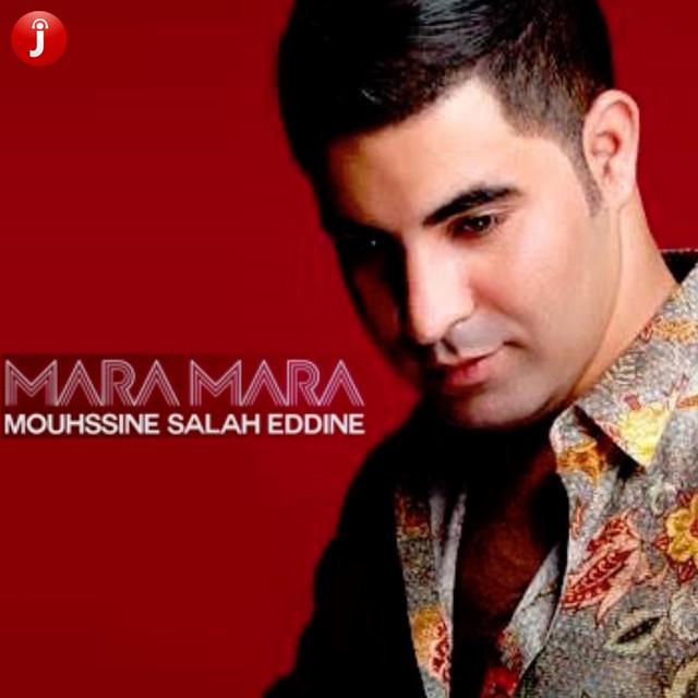 محسن صلاح الدين