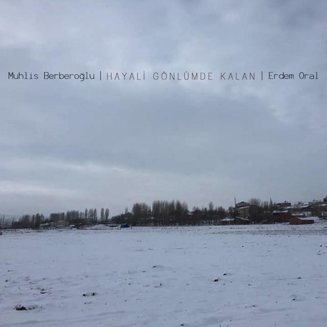 Muhlis Berberoğlu
