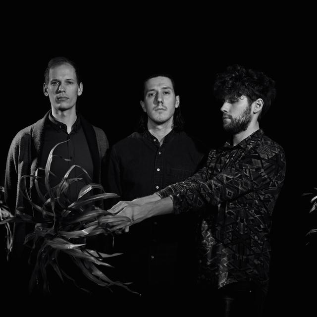 My heart is a metronome