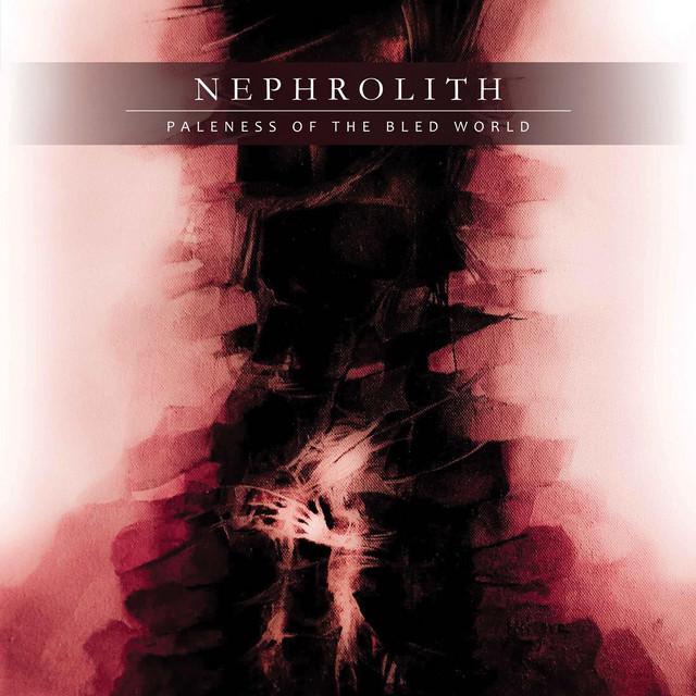 Nephrolith