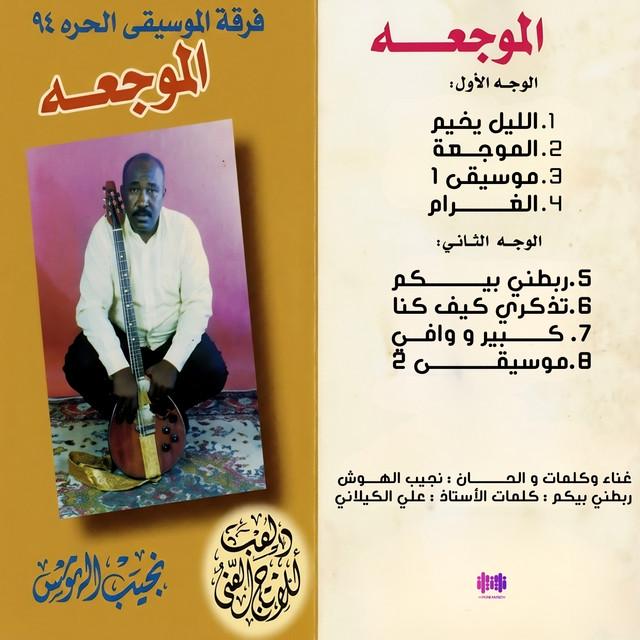 نجيب الهوش