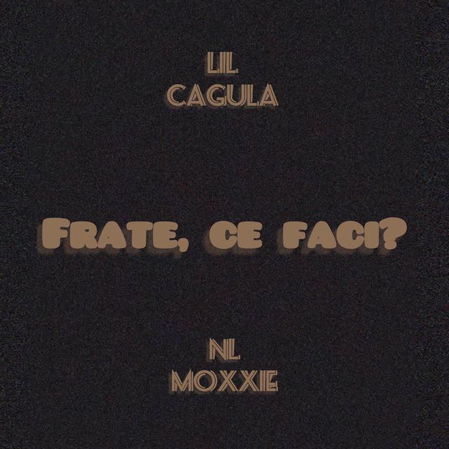 NL Moxxie