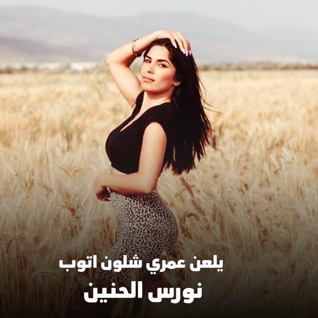 نورس الحنين