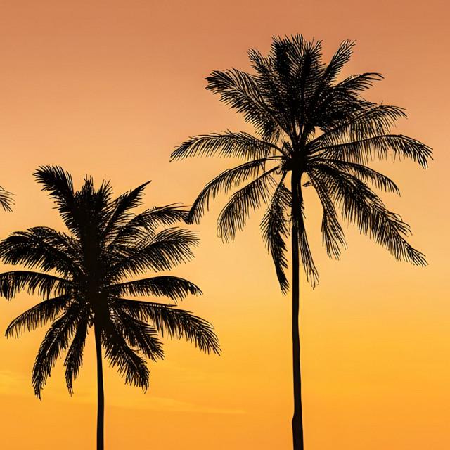 Ocean Silhouette