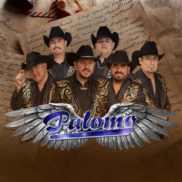 Palomo