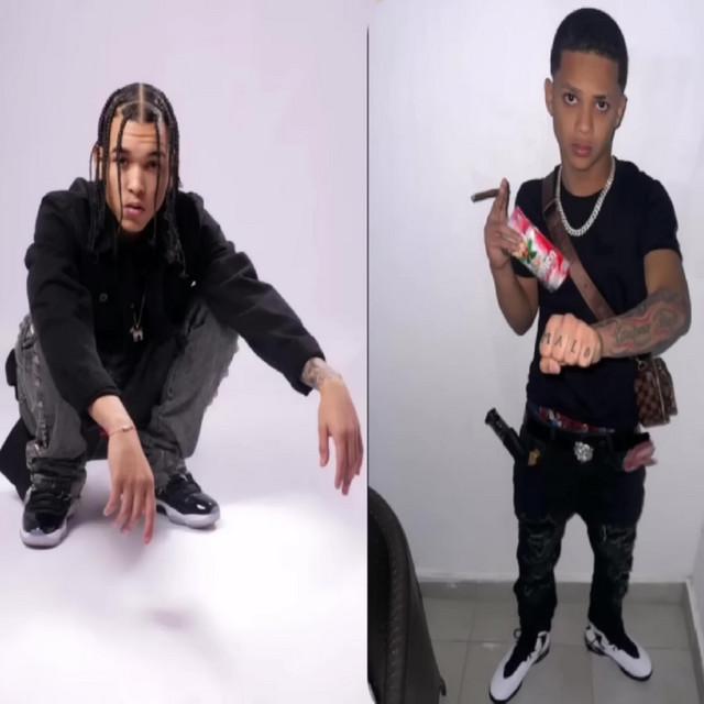 Polojoa