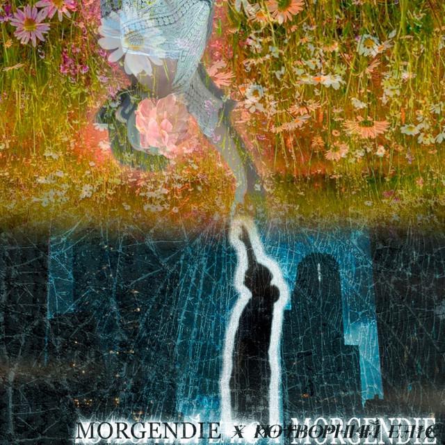 потворний Еліс