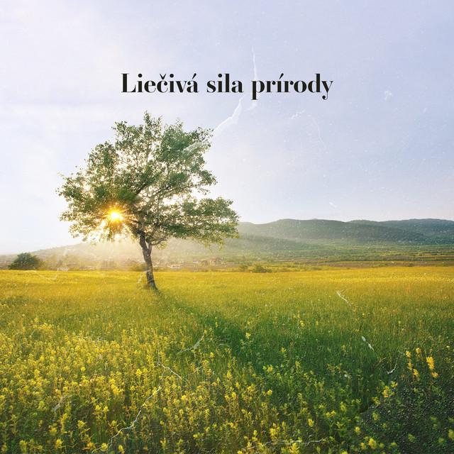 Prírodná liečebná hudobná zóna