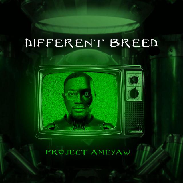 Project Ameyaw