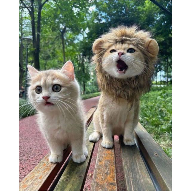 Quang Khanh Music Group