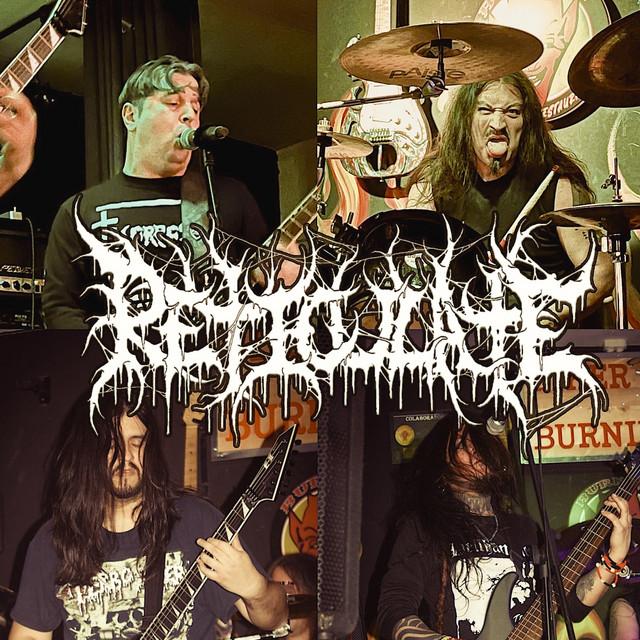 Reticulate