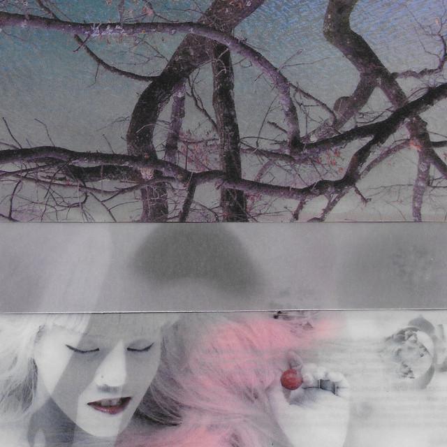 ริค วชิรปิลันธิ์