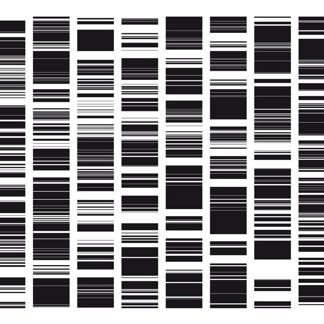 Ryoji Ikeda