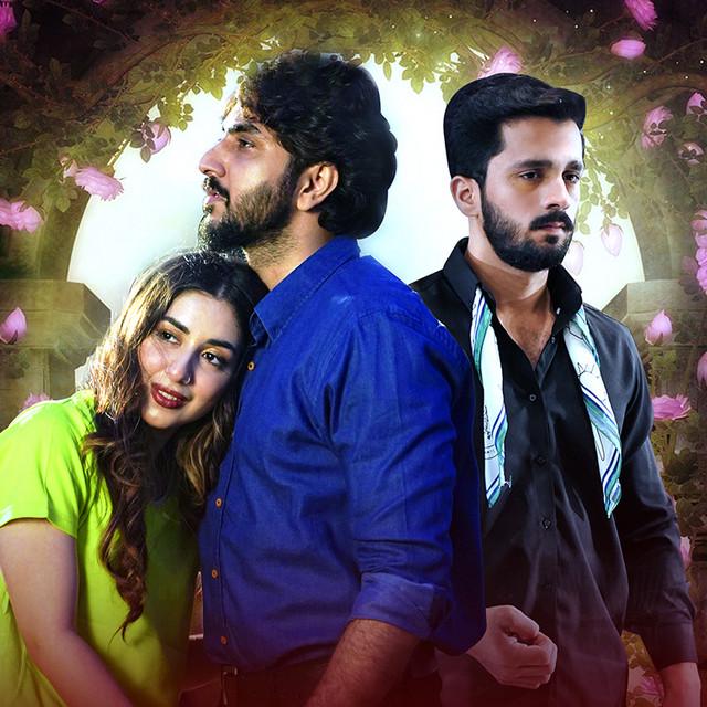 SALMAN ALI