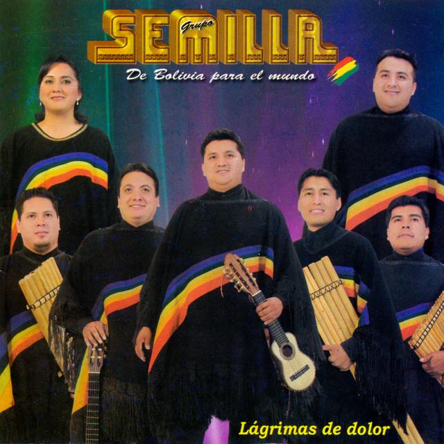 Semilla