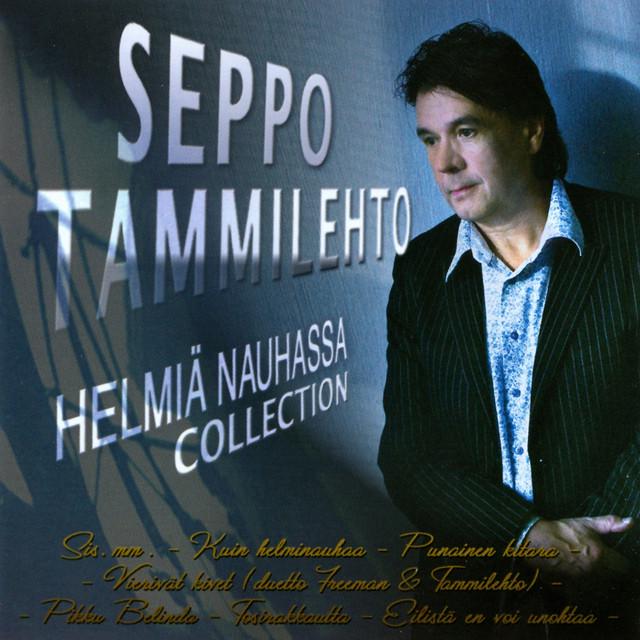 Seppo Tammilehto
