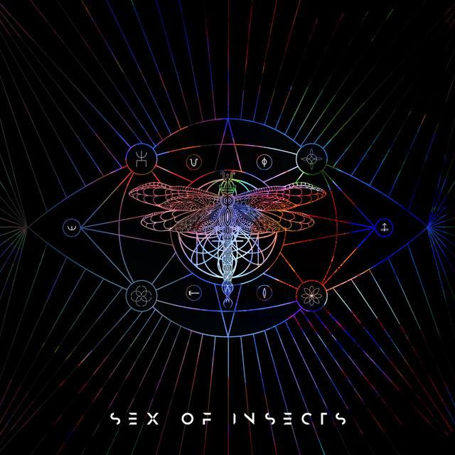 Sex Of Insects